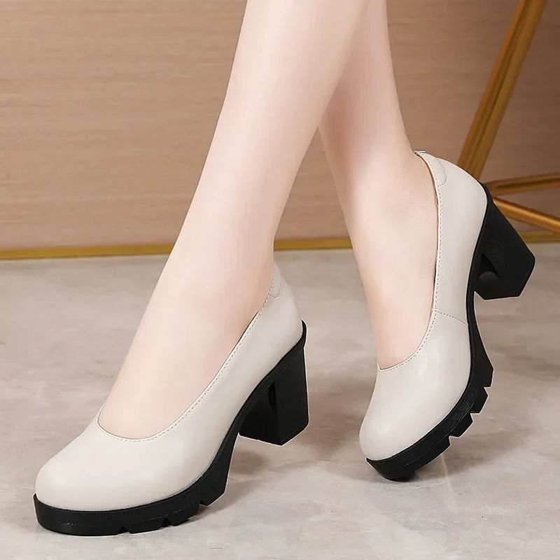 Plus Size 34-43 Round Block Heels Pumps Women Shoes Spring Shallow Med Heel Black Formal Dress Shoes Elegant Office Shoe 240615