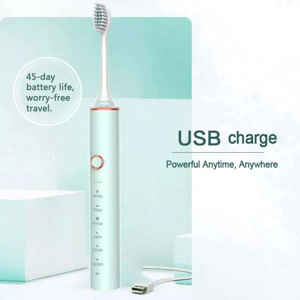 6 Modes Sonic Electric Toothbrush USB Rechargeable Adult Tooth IPX7 Waterproof Timer + Teeth Whitening Cleaning Brush Head F618-16