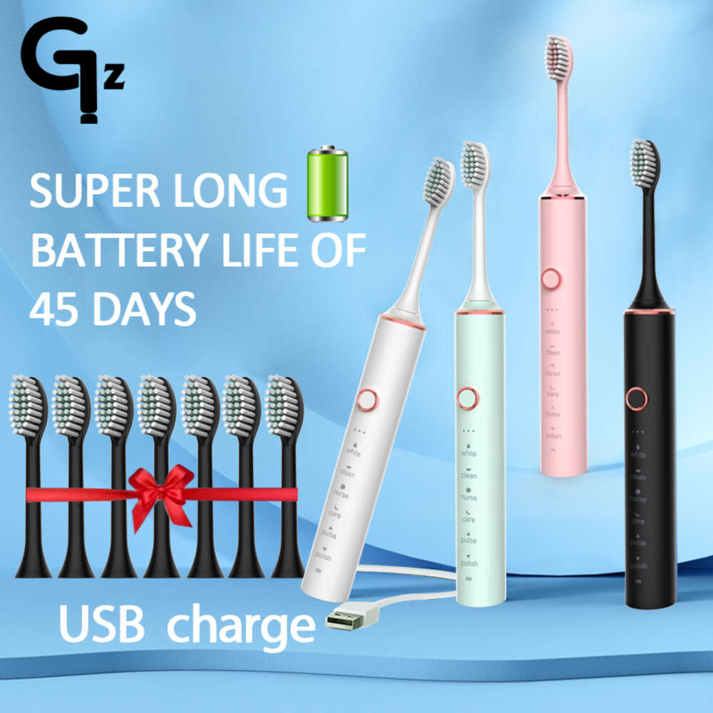 New 2024 N100 Sonic Electric Toothbrush Adult Timer Brush 6 Mode USB Charger Rechargeable Tooth Brushes Replacement Heads Set F618-18
