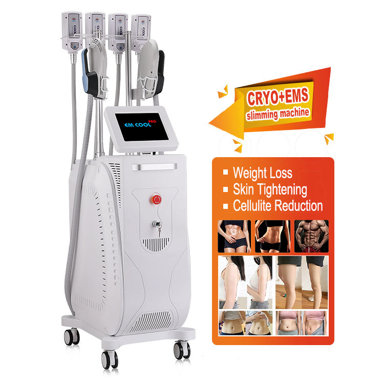 Cryo+EMS 2 In 1 Slimming Machine 10.4 Inch Two Cryo Hand Two EMS Hand 4 Handles Fat Freeze Cryolipolysis Slim Machine