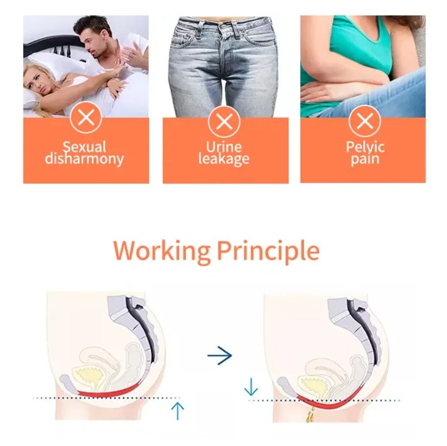 Muscle Chair Trainer Strengthen Muscle Floor Ems Incontinence electromagnetic field chair pelvic floor ems Chair