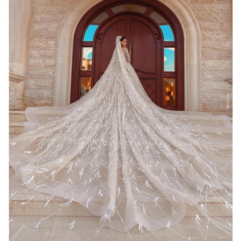 Illusion A-e Women Wedding Dress V Neck Long Sleeves Bridal Gown Sequins Chapel Train Dresses Custom Made