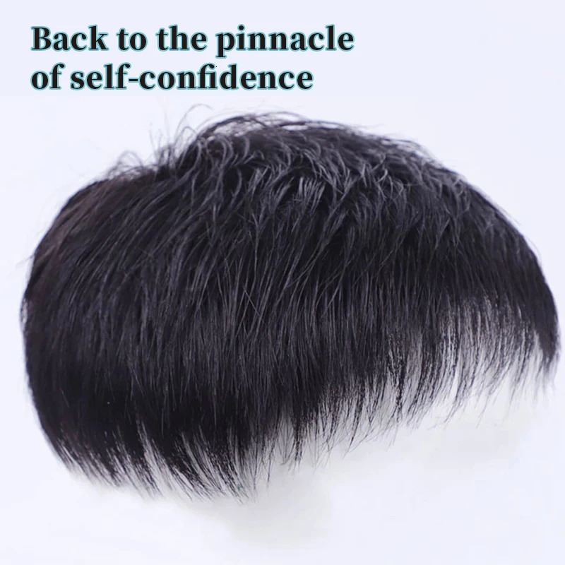 Mens Natural Black Short Wigs Straight Wig Hair Clip-on Toupee Hair Men The Top of The Head Wigs Replacement Wigs 240621