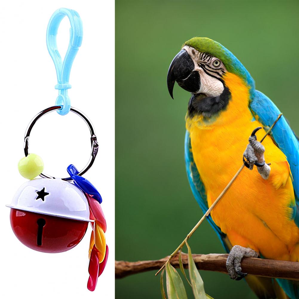 2025 new Bird Scratch-resistant Bite-Resistant Anti-broken Fade-less Lanyard Grinding Mouth Crisp Bell Round Ring Parrot T