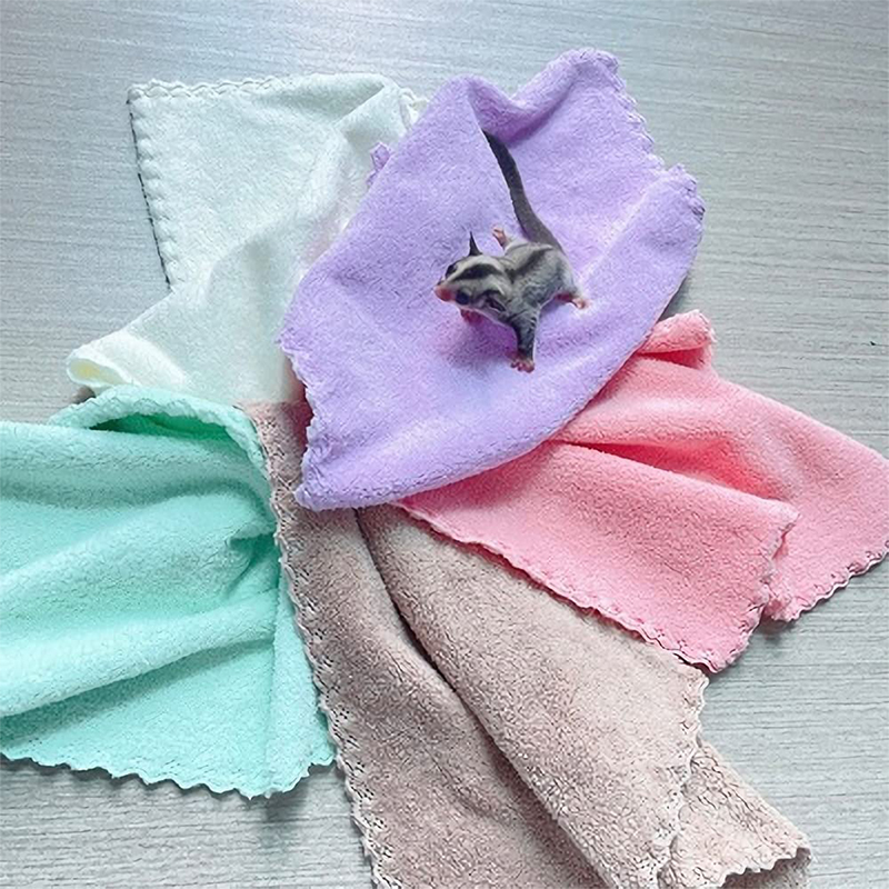 2Pcs Guinea Pigs Soft Blankets Small Pet Items Chinchilla Carpet Bath Towel Quilt and Cage Mat Hedgehog Hamster Accessories