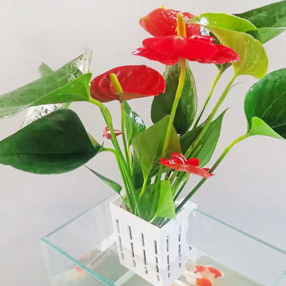 Aquarium Plant Holder Hanging Fish Tank Plant Holder Hydroponic Plant Basket Aquarium Planter Cups For Fish Tank Living