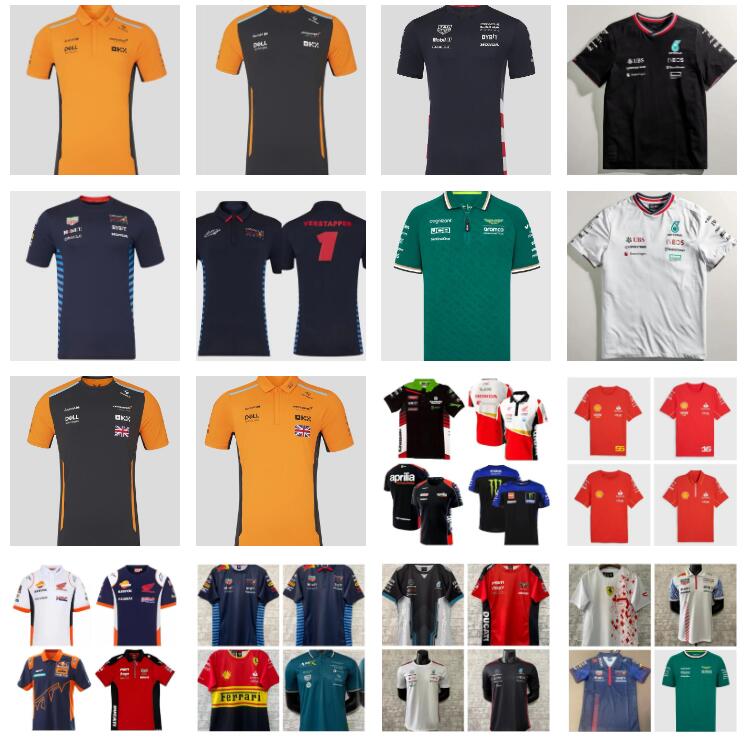 24 25 F1 Formula One racing suit car team logo factory uniforms POLO short-sleeved T-shirt men 2024 2025 summer jersey S-5XL thai quality shirts short sleeve