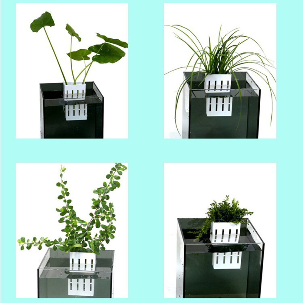 Aquarium Plant Holder Hanging Fish Tank Plant Holder Hydroponic Plant Basket Aquarium Planter Cups For Fish Tank Living