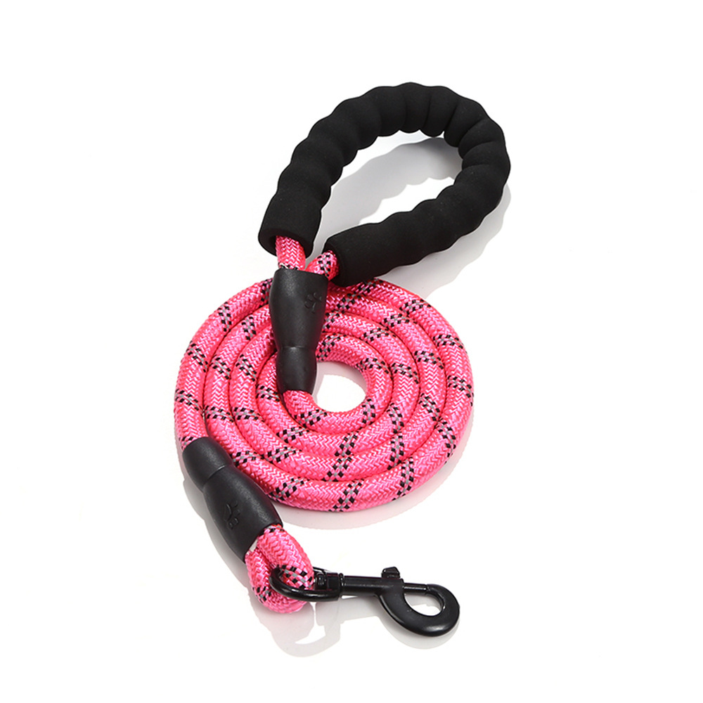 2024 Most Popular Customizable 5M Dog Leash Explosion-Proof Nylon Personalized Animal Pattern Lights Wear-Resistant Lace Pets