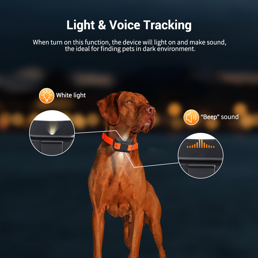 Fast Shipping Micodus MP50G IPX7 4000mah Long Range Dog GPS Tracking Smart Collars Dog Activity Monitoring 4G Pet Gps Tracker