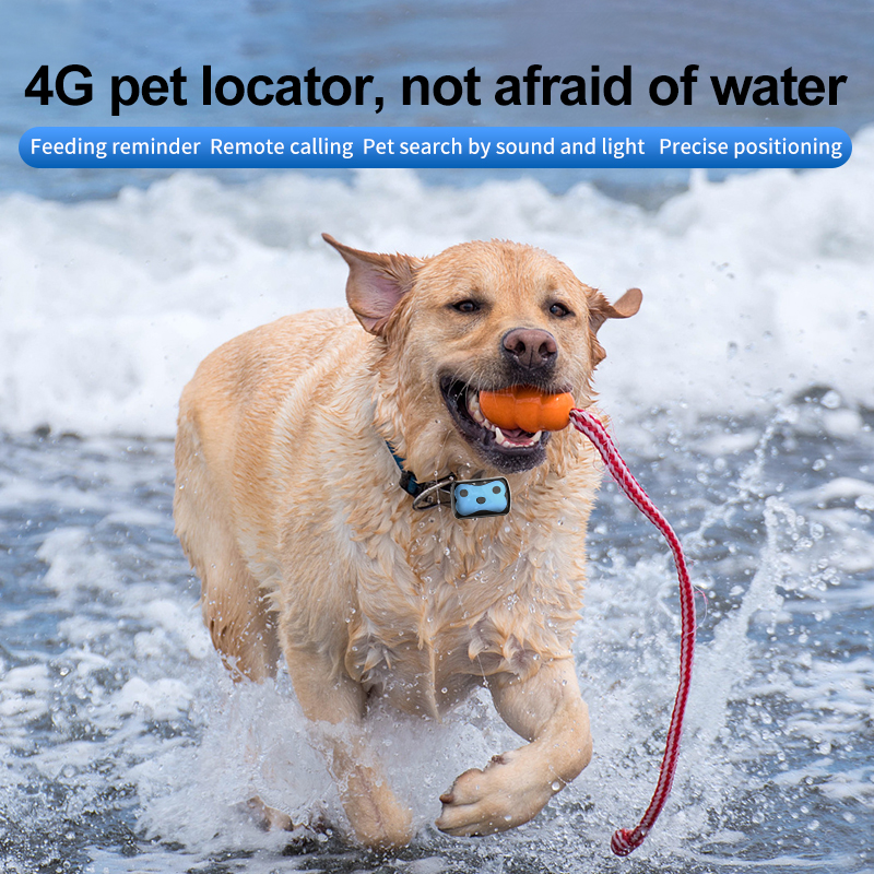 Customized logo GPS Tracker 4g Air Tags Appling Pets Tracker MiNi GPS Locsmart D87 GPS Pet Tracker