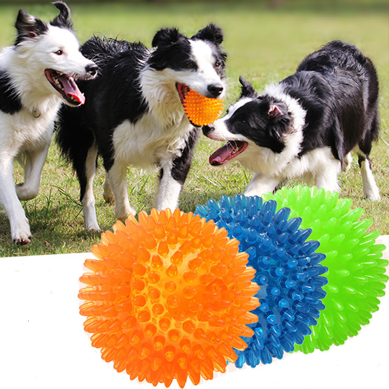 Pet Dog Toys Cat Puppy Sounding Toy TPR Soft Burr Tooth Cleaning Elastic Ball Outdoor Training Interactive Chew Toy Pet Supplies
