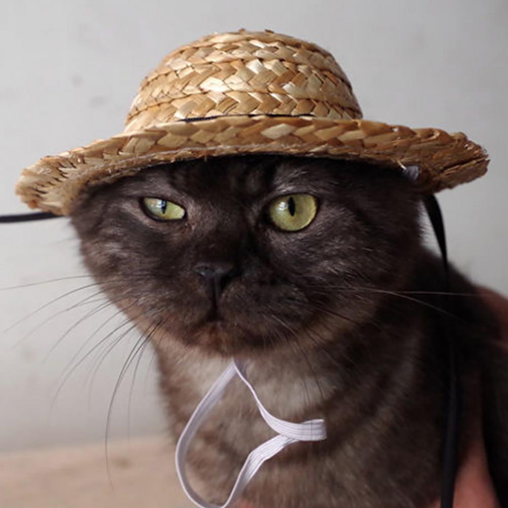 Pet Supplies Sun Cap Pet Straw Hat Breathable Creative Handmade Summer for Outdoor Sun Hat Cap Pet Supplies Cosplay Farmer Hat high-quality 1ce