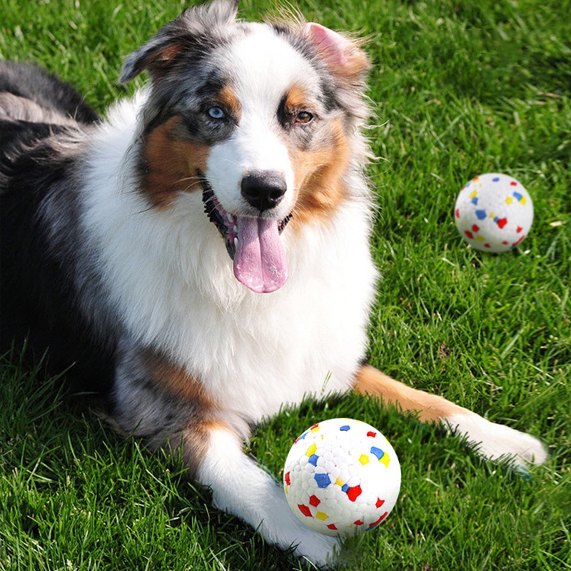 Bite Resistant Solid Toys Interactive Dog Outdoor Traning Balls for Small Medium Large Dogs Chew Ball Pet Supplies