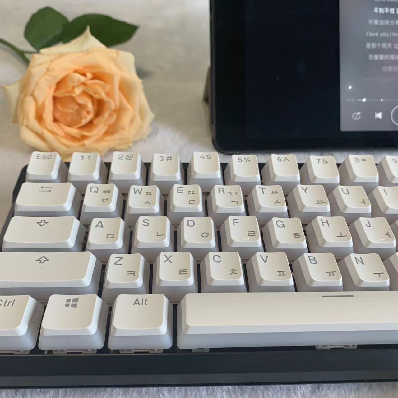 Hangul Keycap Korean Layout Keycap Pudding Keycaps Set PBT OEM Profile For Gaming Mechanical Keyboard for Cherry MX Switch