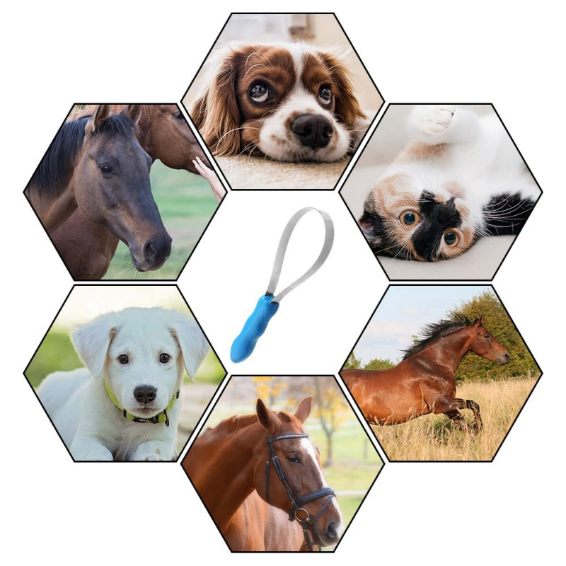 Horse Brush Scraper Sided Shedding Blade Stainless Steel Shedder Sweat Scraper Tool Horse Care Grooming Cleaning Tool