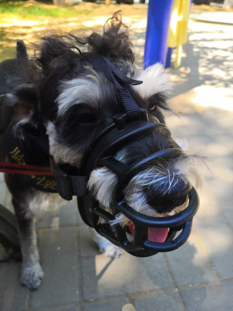 Soft Silicone Pet Muzzle Anti-biting Stop Barking Chewing Mask Adjusting Pets Muzzles for Small Medium Large Dog Supplies