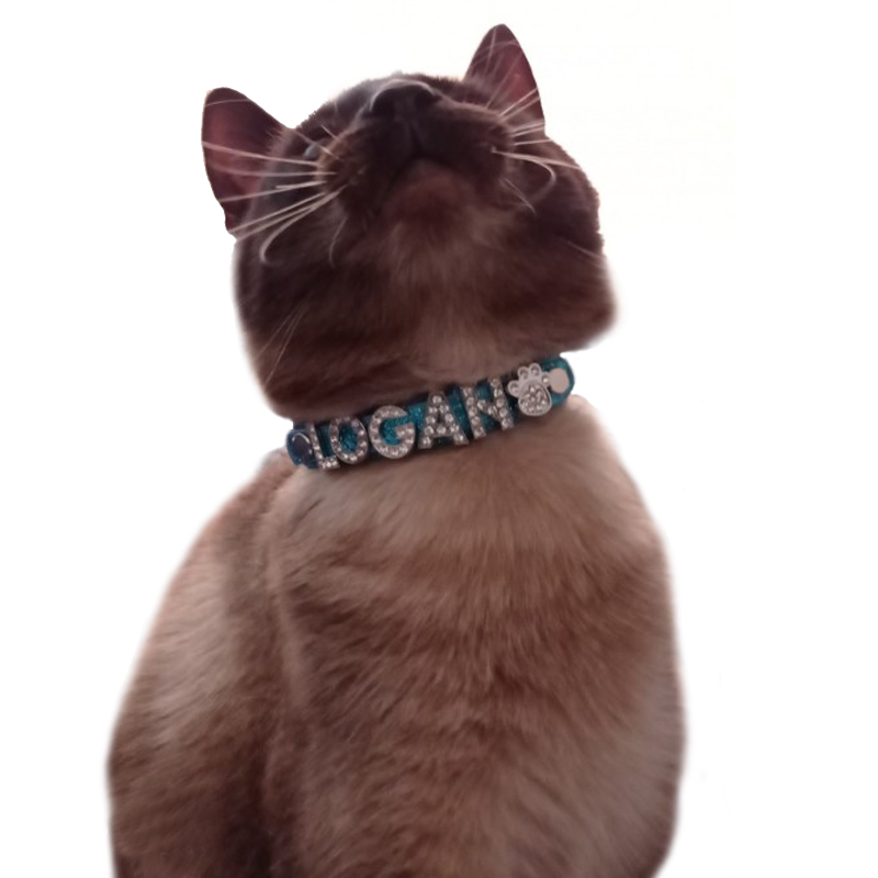 Custom Pet Name Dog Collar Luxury Rhinestone Letter Adjustable Personalized Blingbling Leather Dog Cat Collar,Note customizations or Ships as shown
