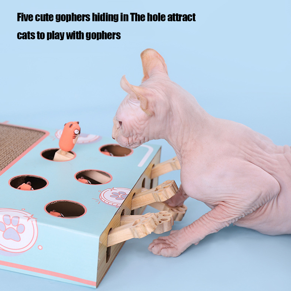 Cat Hit Gophers Cat Toy Chase Hunt Mouse 3 in 1 Cat Game Box Funny Cat Stick With Scratcher Maze Interactive Educational