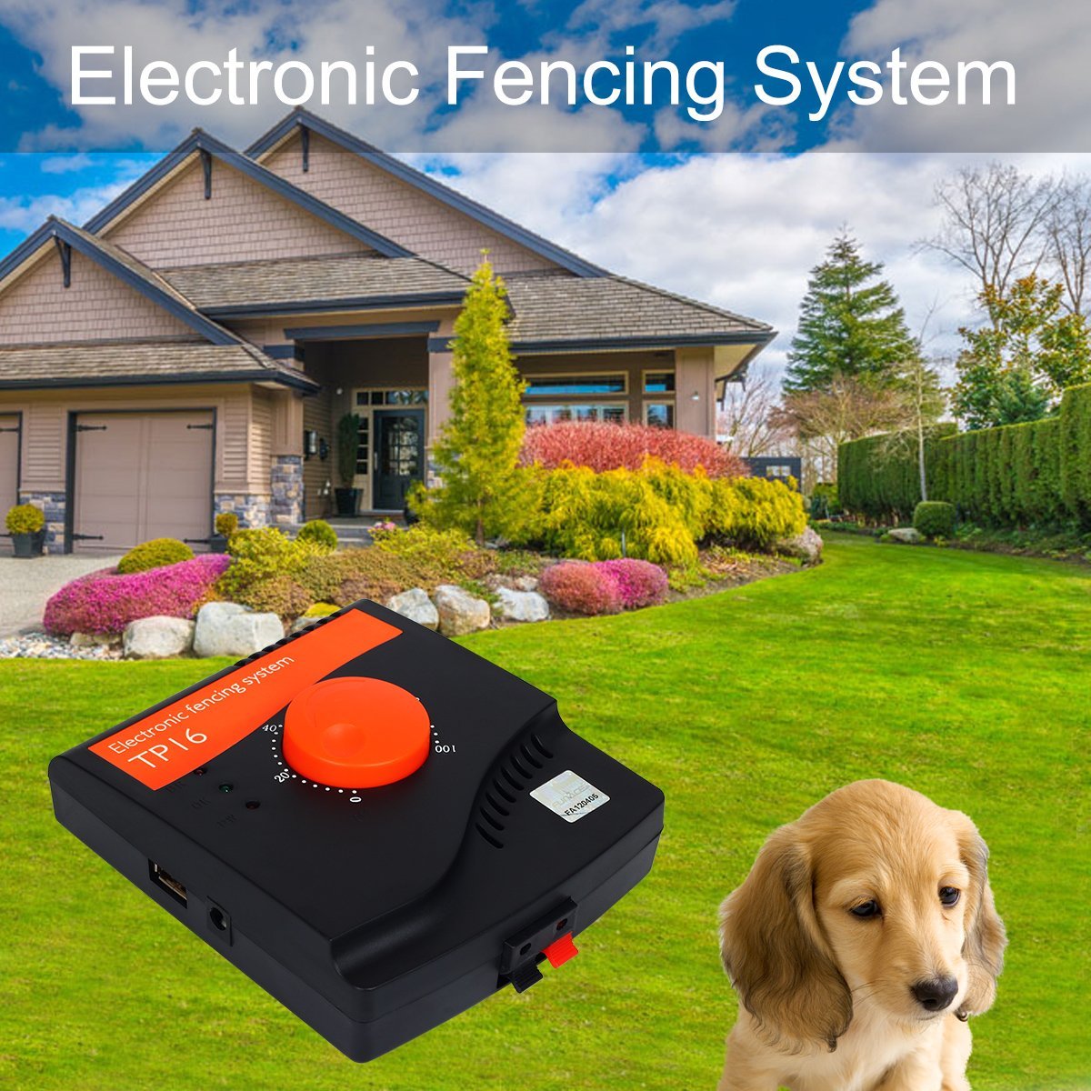 Accessories Transmitter with Plug Only for Model TP16 Pet Wired Fence Transmitter with Plug