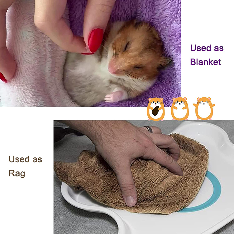 2Pcs Guinea Pigs Soft Blankets Small Pet Items Chinchilla Carpet Bath Towel Quilt and Cage Mat Hedgehog Hamster Accessories