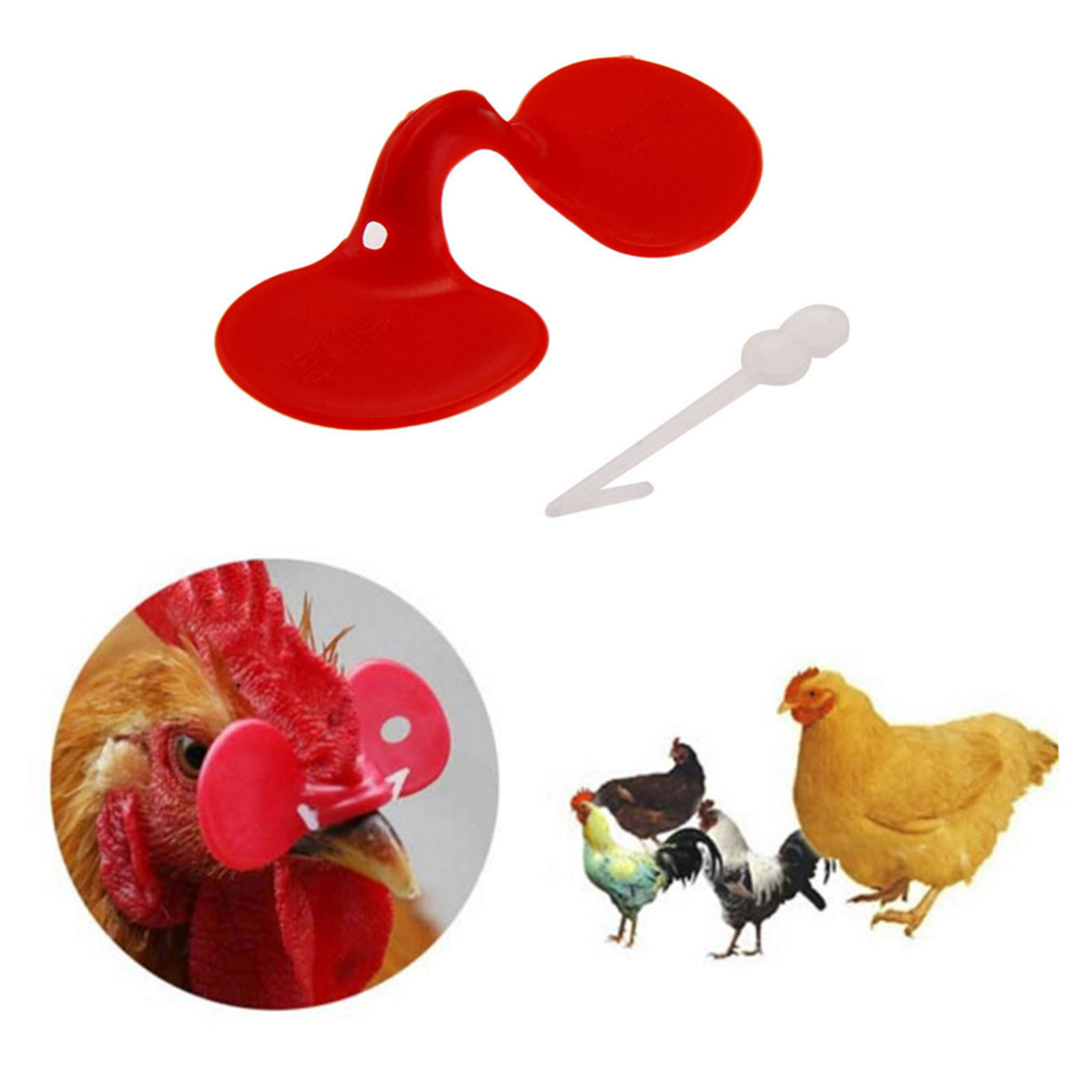 60 Pieces Pinless Chicken Anti-Pecking Small Chicken Eyes Glasses With Bolt Durable Hen Rooster Pinless Tool With Bolt 