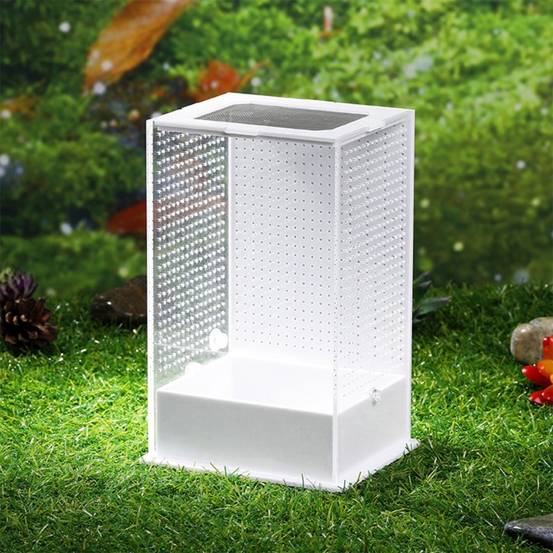 448B Acrylic Terrarium Insect Tarantulas Enclosure-Tanks Snail Habitat Mini Critter Keeper Insect