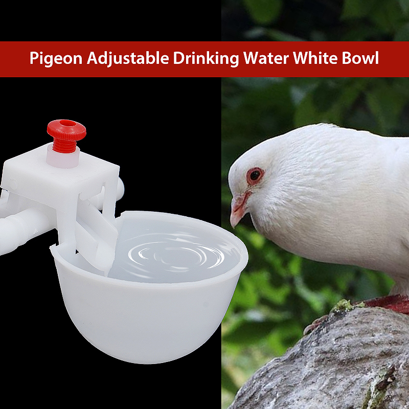 5/10/20Pcs Pigeon Bird Water Drinker Bowl 9.5mm Automatic Poultry Fowl Drinker Chicken Equipment 9.5mm Thread