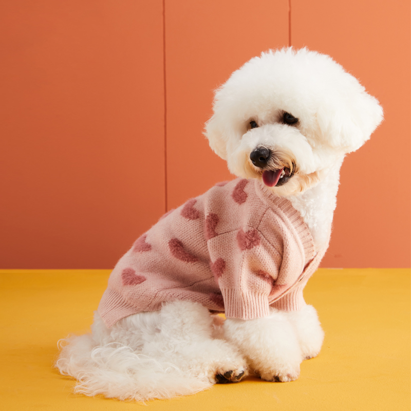 Seasonal Apparel Collection Featuring Plush Textiles Tailored Specifically For Your Companion