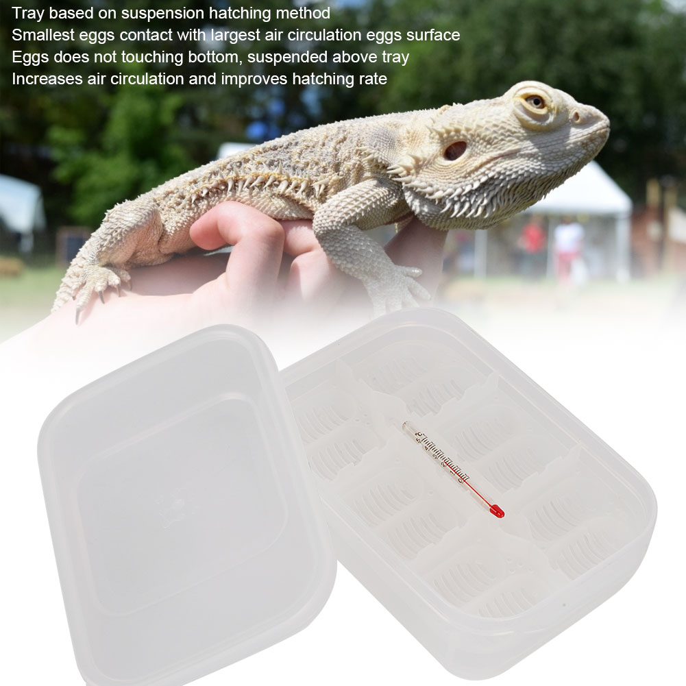 12 Grids Small Reptile Incubator Hatching Box Professional Climbing Pet Lizard Breeding