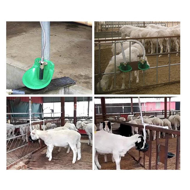 4Pcs Livestock Sheep Goat Drinker Bowl Copper Value Quality Water Fountain Cattle Sheep Dog Feeding Equip Farm Animals Livestock