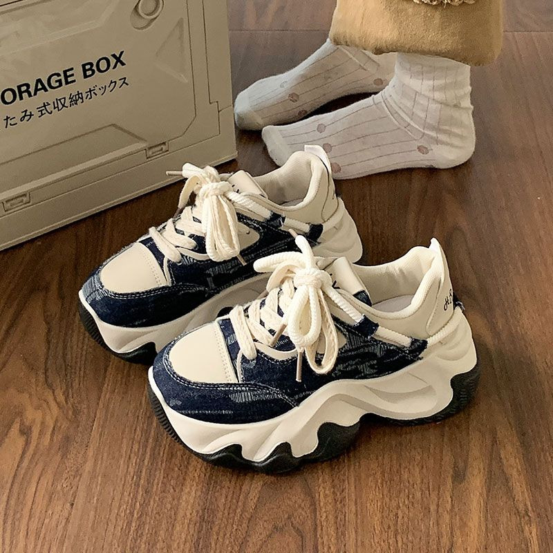 Small Thick Sole Dad Shoes, Female Heightening 2024 New Spring and Autumn Leisure Sports Shoes