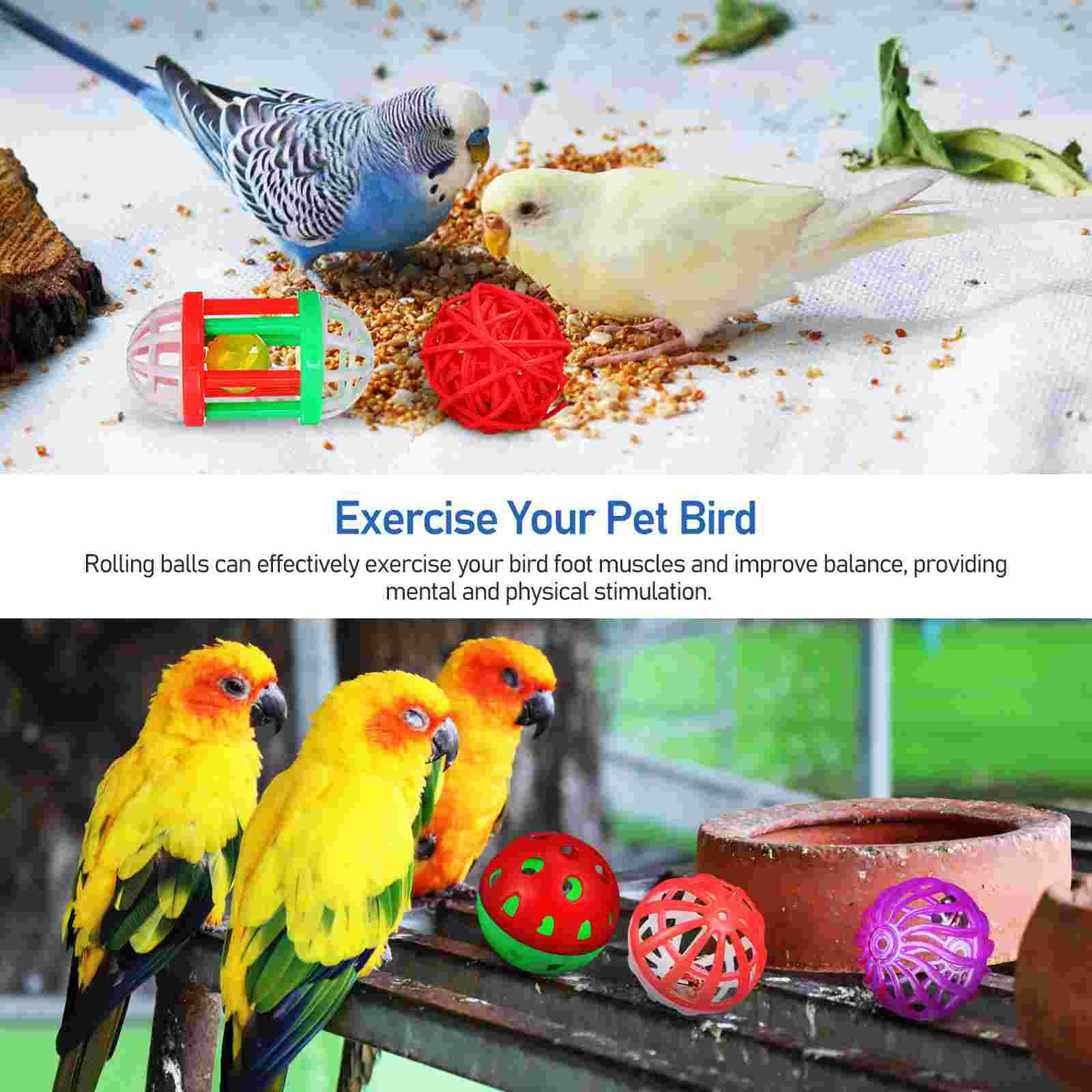 12 Pcs Pet Parrot Treats Bird Toy Ball Perches for Cages Training Toys Birds Plastic