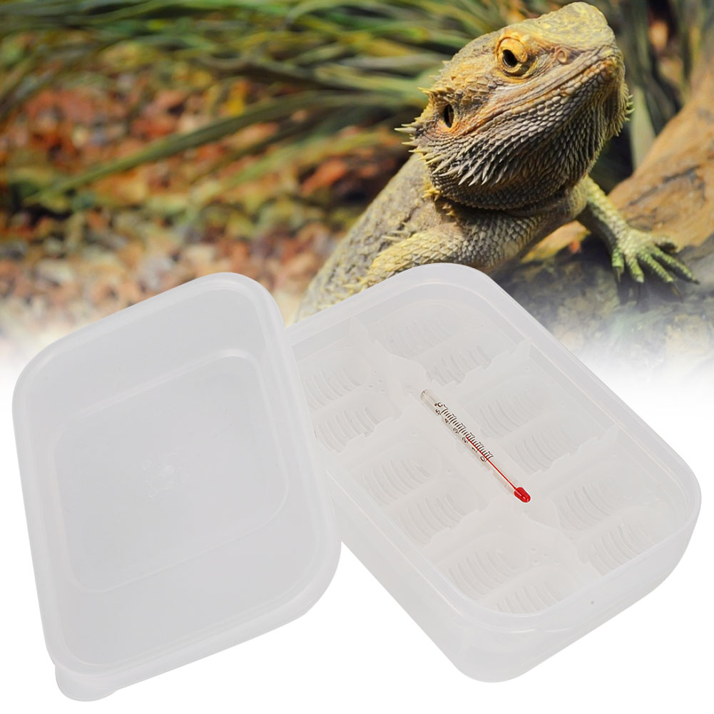 12 Grids Small Reptile Incubator Hatching Box Professional Climbing Pet Lizard Breeding