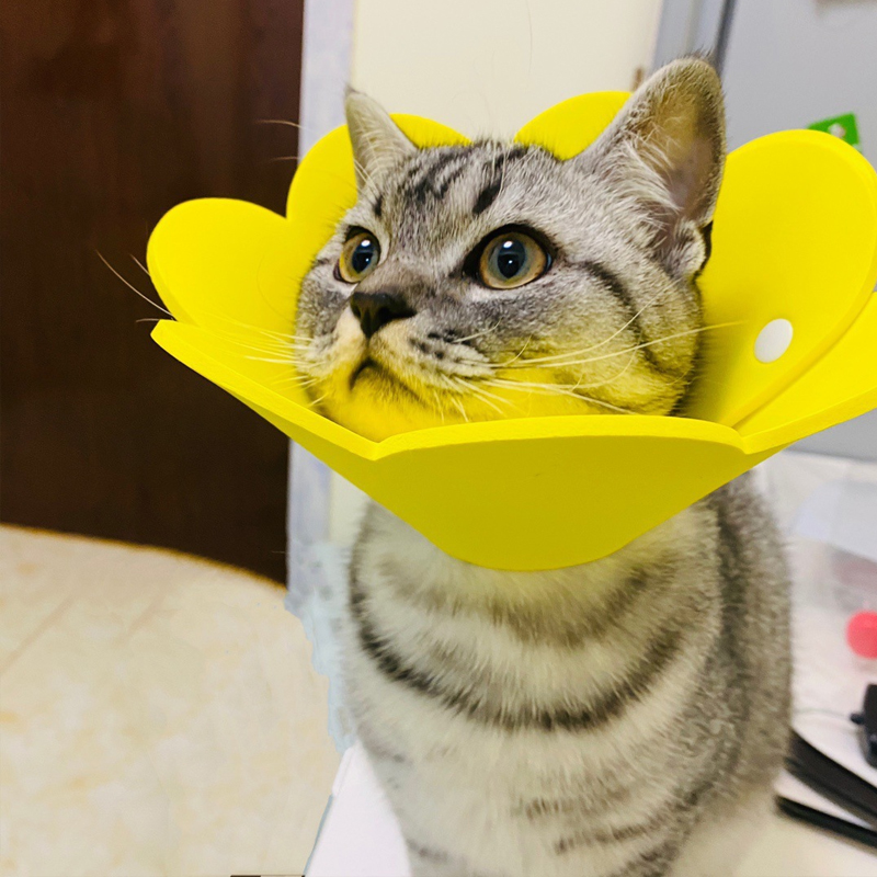 Pet Collar Adjustable Elizabeth Neck Cone Recovery Ring Felt Anti-bite Protective Collar Cats Dogs Wound Healing Medical Accesso