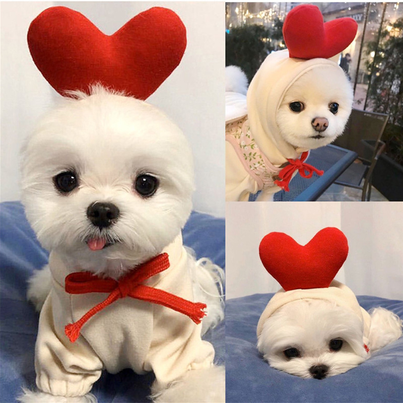 Fruit Pet Hoodie! Cute Dog & Cat Costume - Pineapple/Strawberry Fleece Sweater for Small Medium Dogs Cats, Warm Puppy Apparel