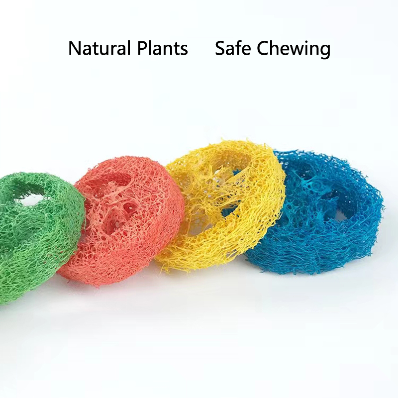 10Pcs Natural Loofah Slice Tooth Grinding Cleaning Chew Toy Small Pets Toys For Hamster Rabbit Grinding Products High Fiber