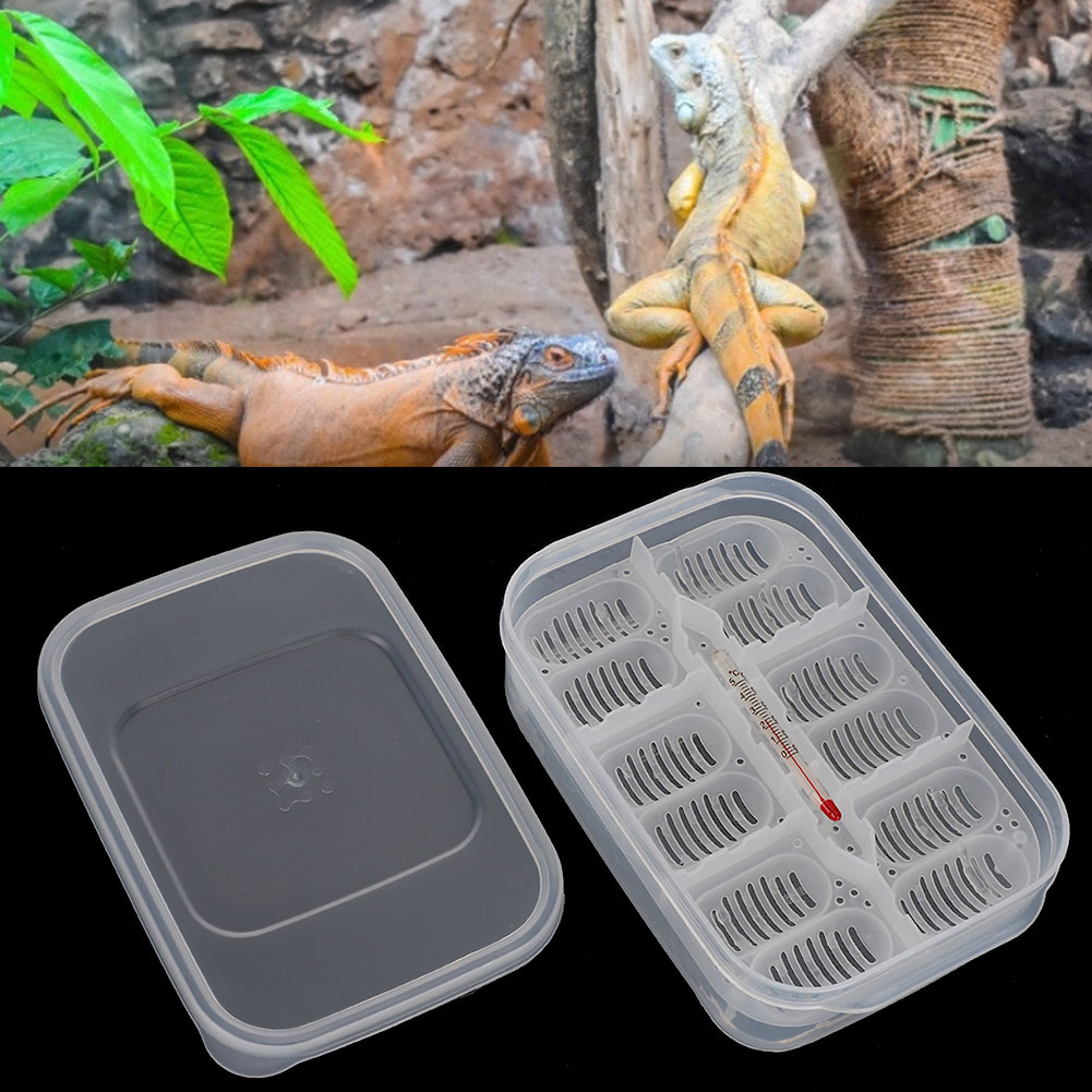 12 Grids Small Reptile Incubator Hatching Box Professional Climbing Pet Lizard Breeding