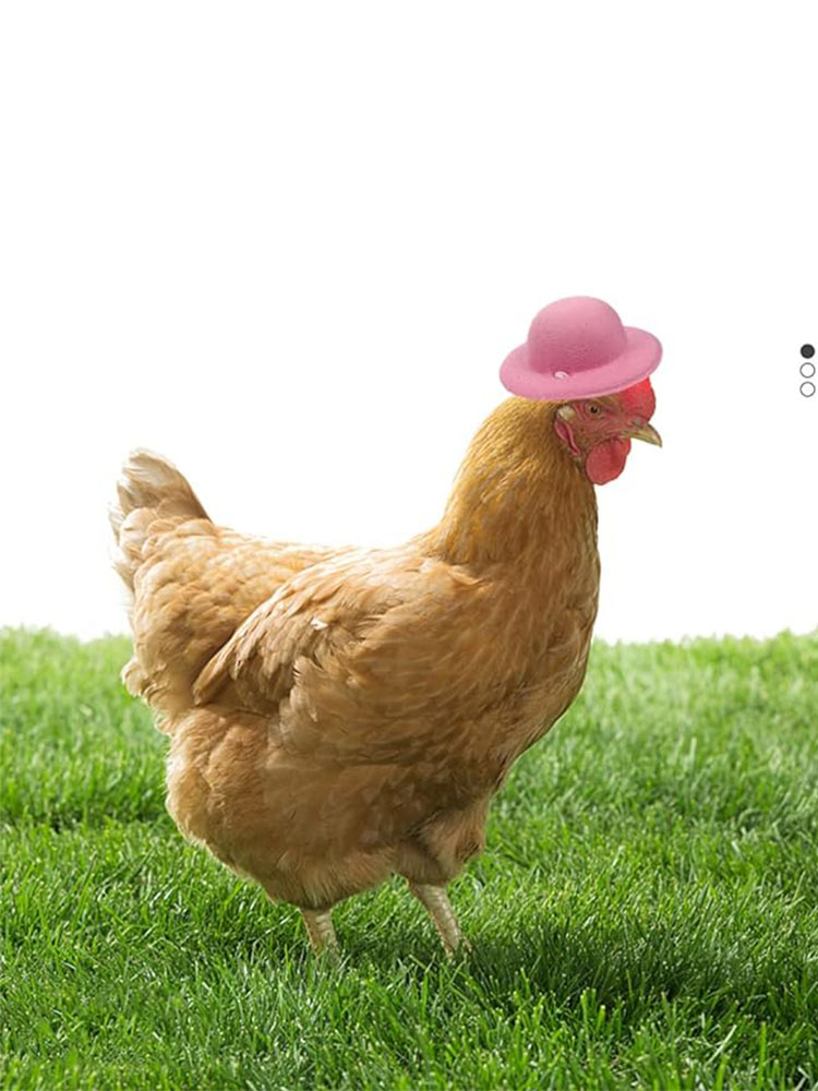 Chicken Hat For Hens Tiny Pets Funny Chicken Accessories Hen Top Hat For Rooster Duck Parrot Hamster Poultry Stylish pets Costum