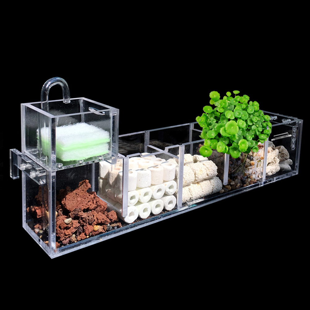 Hang On Acrylic Filter Box 5 Grids Aquarium Hang On Aquarium Filter Box Aquarium Box Filter Small Fish Tank Filter Turtle Filter