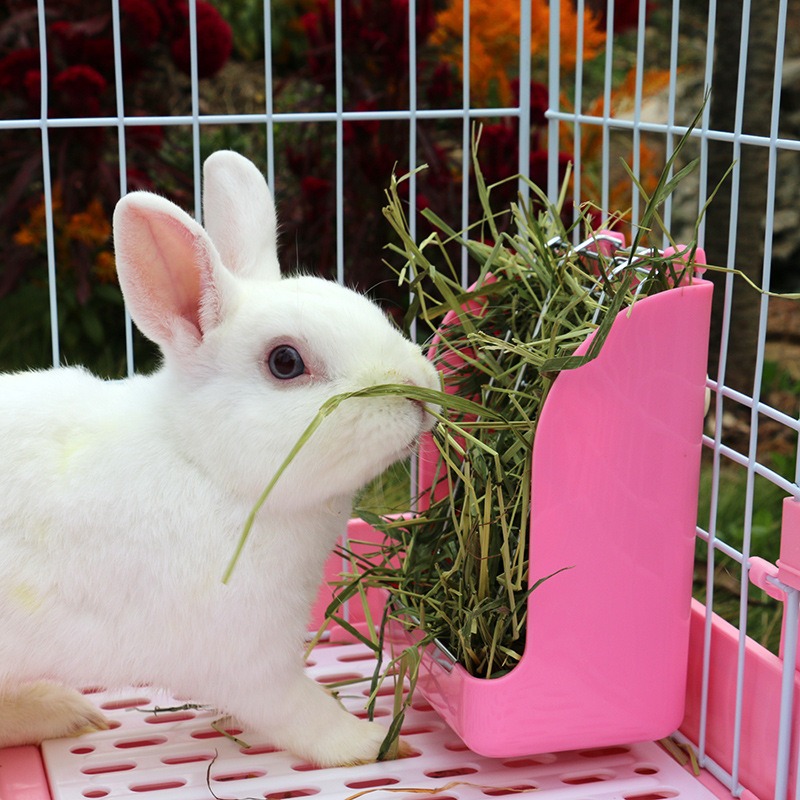 Rabbit Feeder Holder Hay Feeding Dispenser Container For Rabbit Guinea Pig Small Animals Hanging Cage