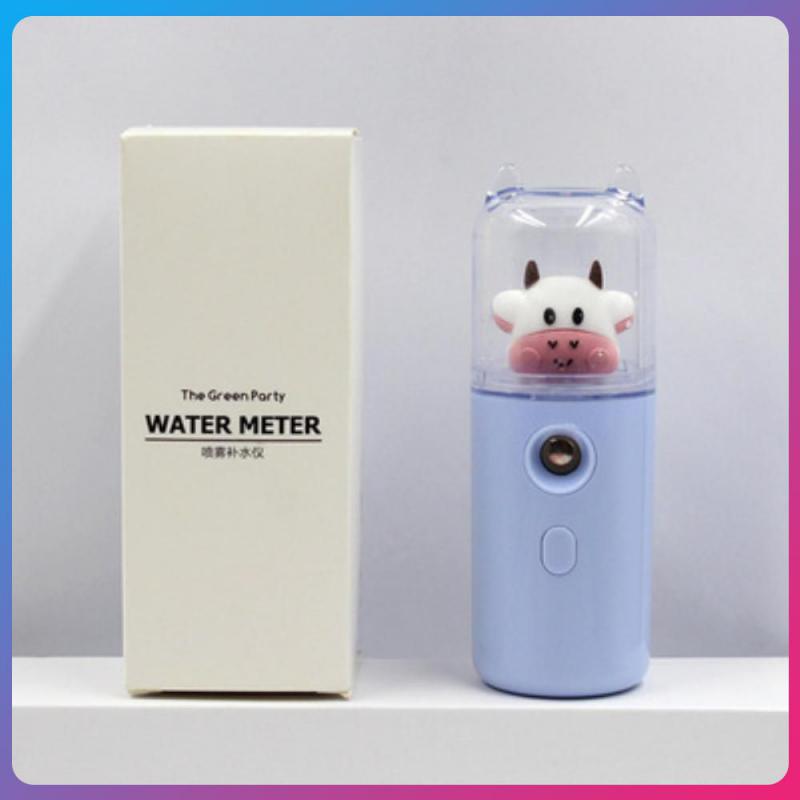 Rechargeable USB Sprayer Facial Nano Mist Sprayer Beauty Moisturizing Skin Care Humidifier Nebulizer Face Steamer Instruments smile