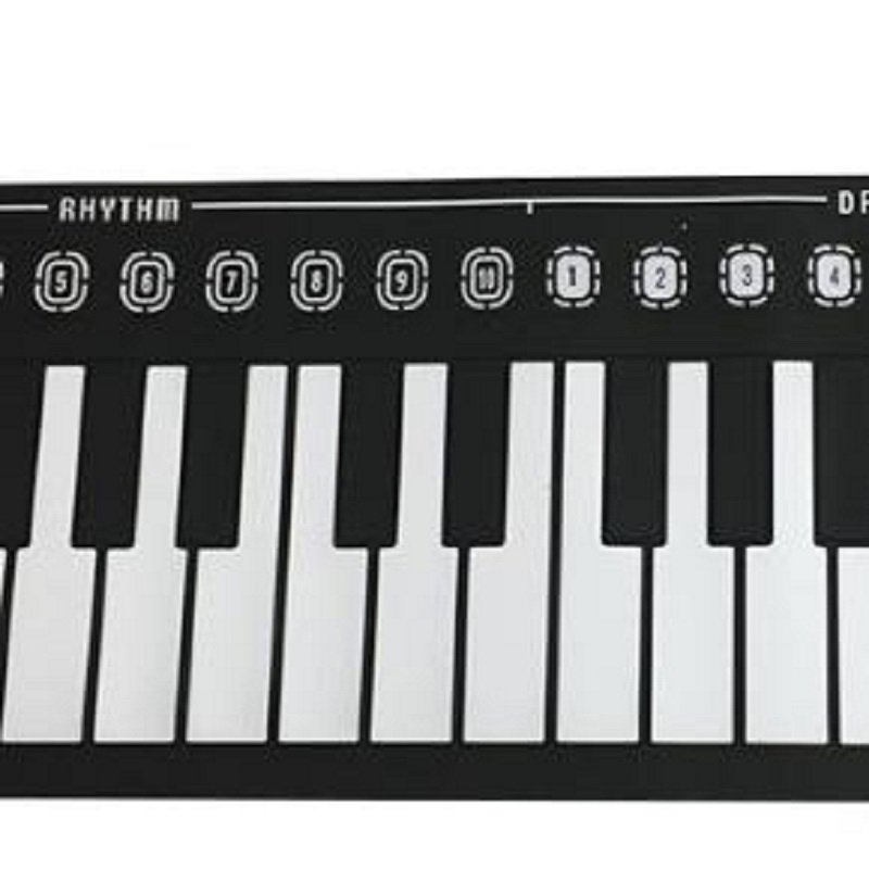 Silicone Hand Electronic Roll Piano, 49 Keys, Digital Portable Learning Instrument Music Midi Controller Keyboard, Black and Whi