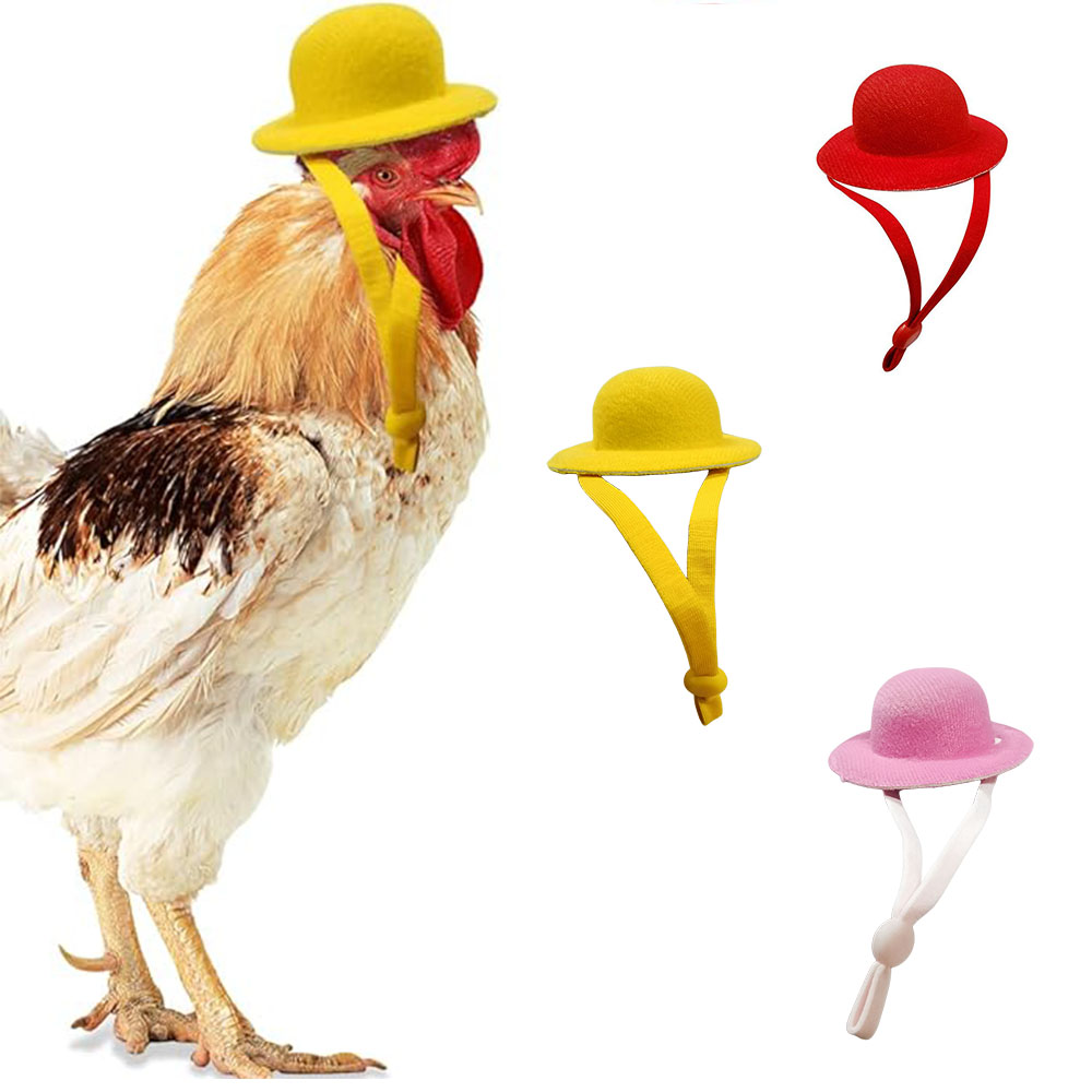 Chicken Hat For Hens Tiny Pets Funny Chicken Accessories Hen Top Hat For Rooster Duck Parrot Hamster Poultry Stylish pets Costum