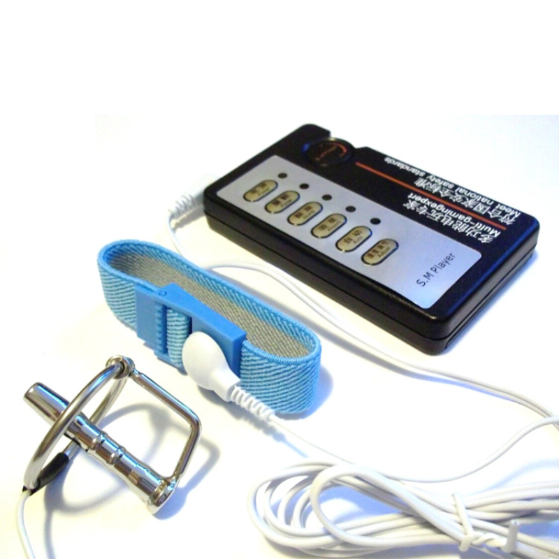 Electric Shock Chastity Cage Penis Ring Lock Insert Stick With Host Chastity Devices Metal Cock Cage Adult Sexy Toys For Men Gay