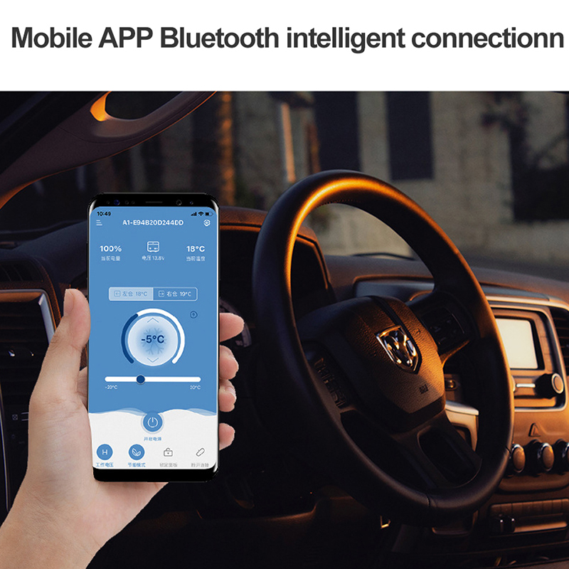 Alpicool 35L/45L/55L Car Refrigerator 12V/110V Dual temperature control Freezer 220V Car Home Outdoors Compressor Fast Cooler