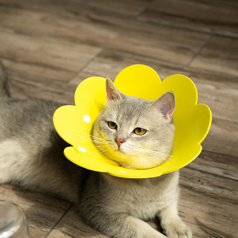 Pet Collar Adjustable Elizabeth Neck Cone Recovery Ring Felt Anti-bite Protective Collar Cats Dogs Wound Healing Medical Accesso