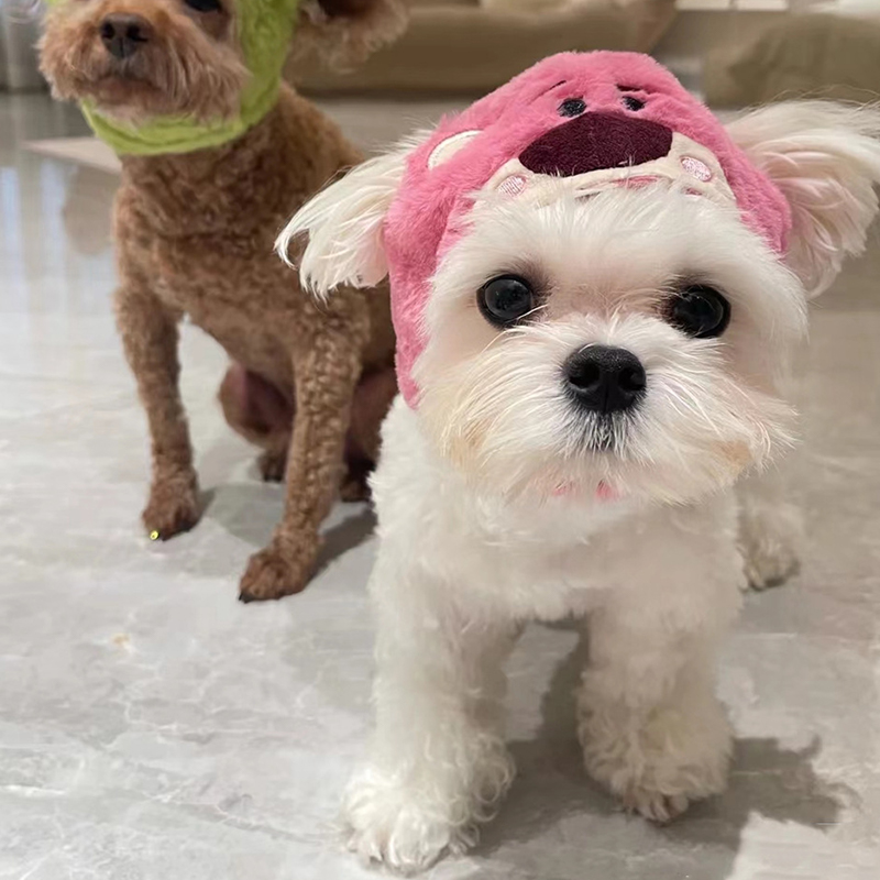 Funny Cat Headgear Cute Headwear Cap for Cats Cape Warm Plush Pet Hat Christmas Cosplay Costumes Props Photo Kitten Supplies