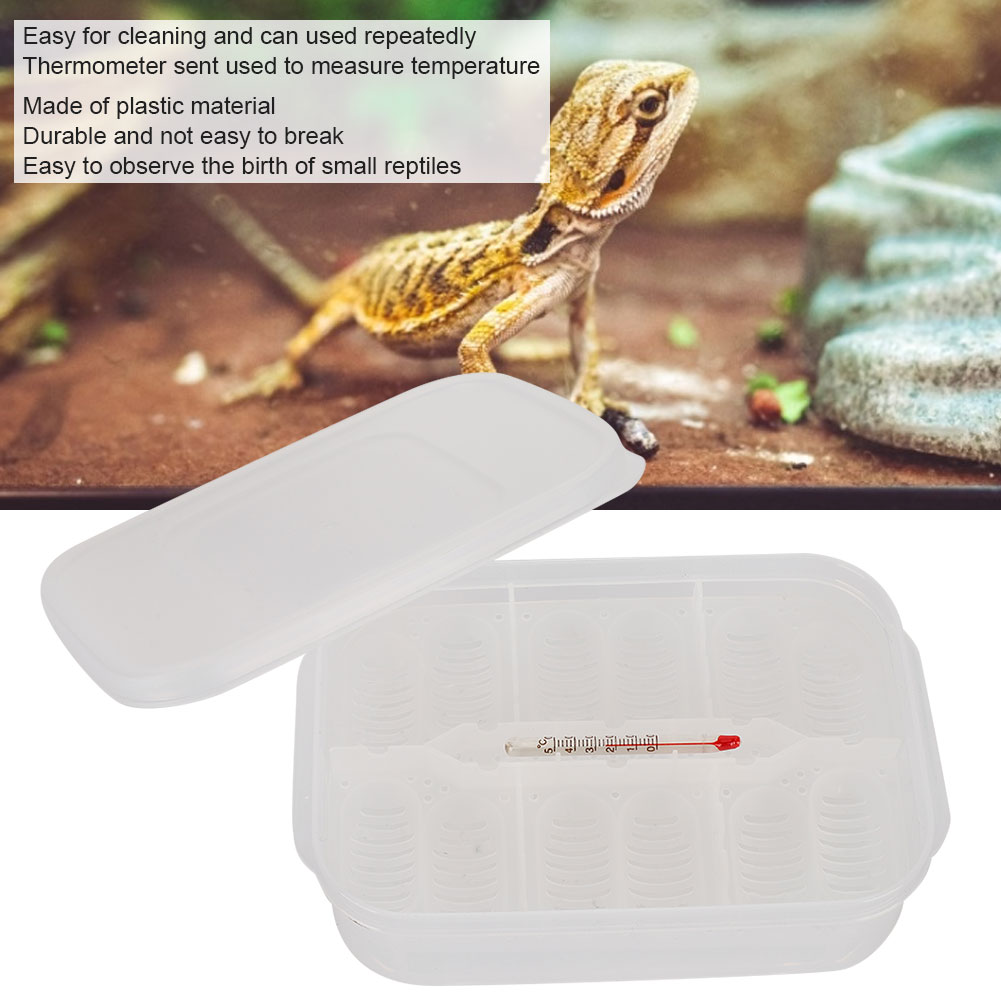 12 Grids Small Reptile Incubator Hatching Box Professional Climbing Pet Lizard Breeding
