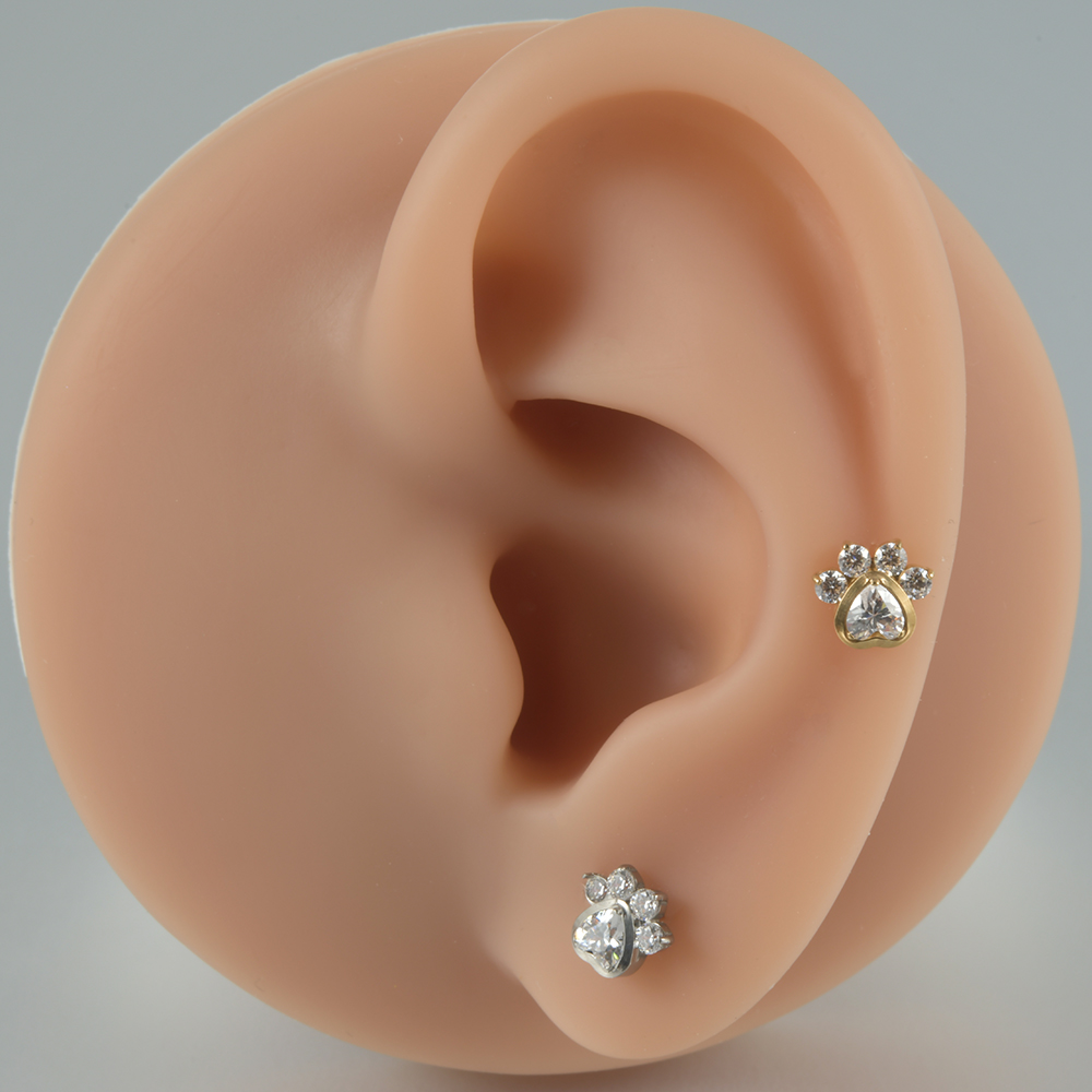 1PC G23 Titanium Marquise Cz Dog Paw Leaf Labret Lip Stud Ear Cartilage Tragus Helix Earring Daith Lobe Piercing Body Jewelry